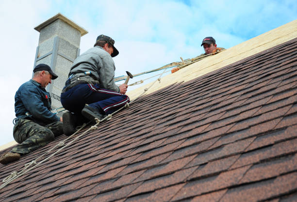 Quick and Trustworthy Emergency Roof Repair Services in Rosewood Heights, IL